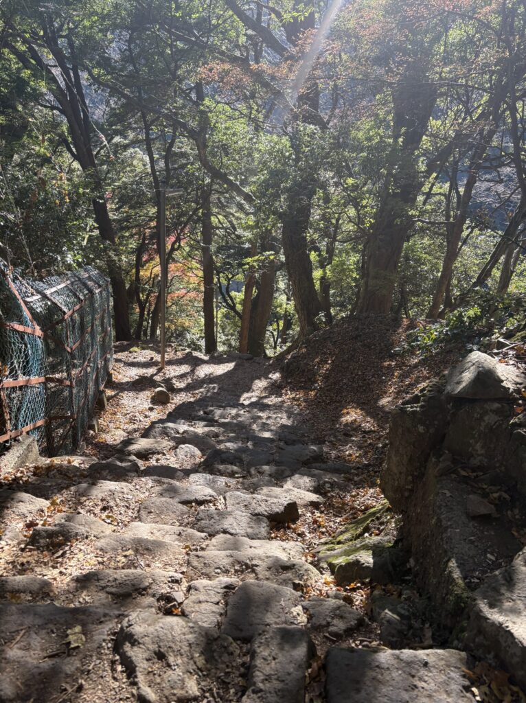 大山女坂の登山道の様子1
