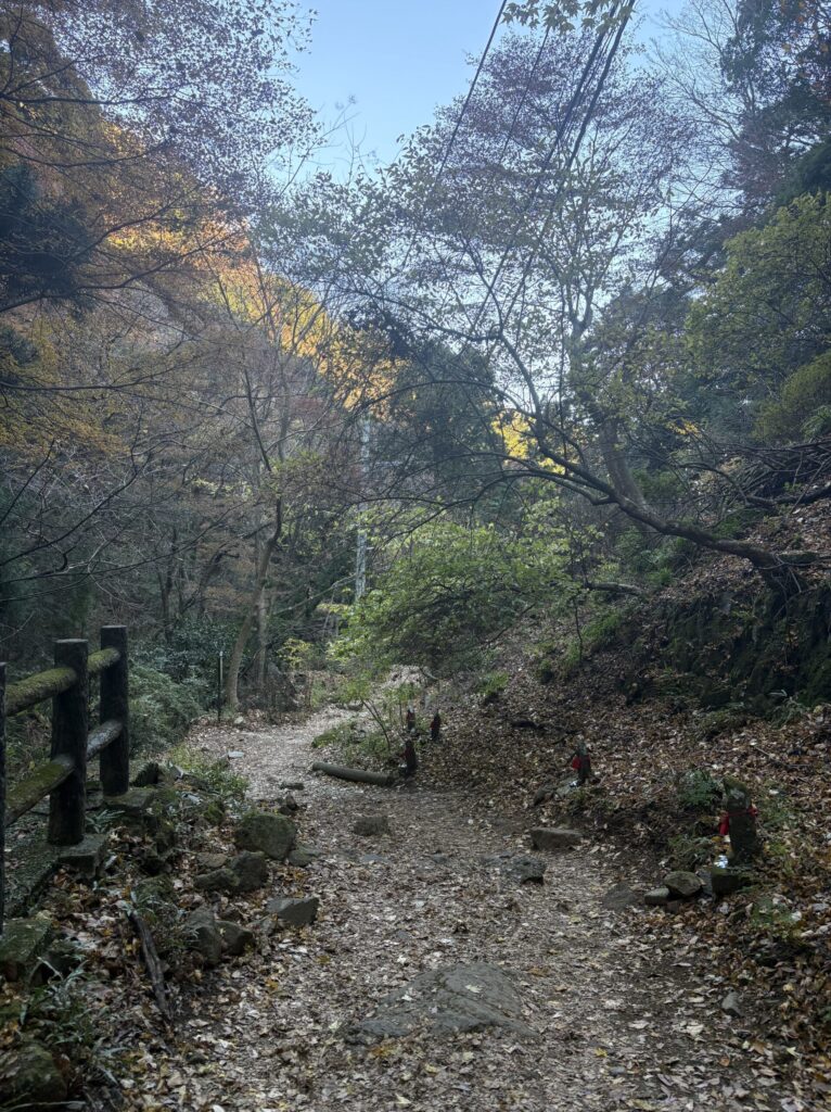 大山女坂登山道の様子2