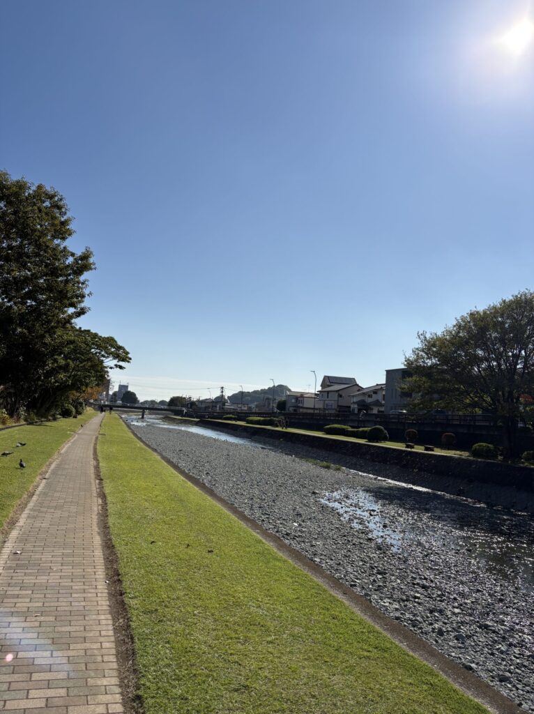 水無川沿いの遊歩道の様子