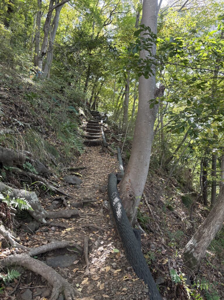 弘法山つづら折りの登山道