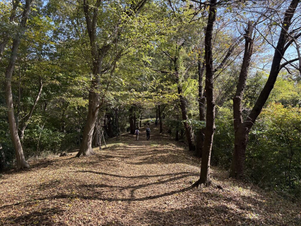 浅間山山頂付近の登山道の様子