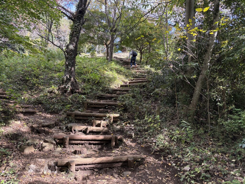 浅間山から権現山へ続く登山道の様子