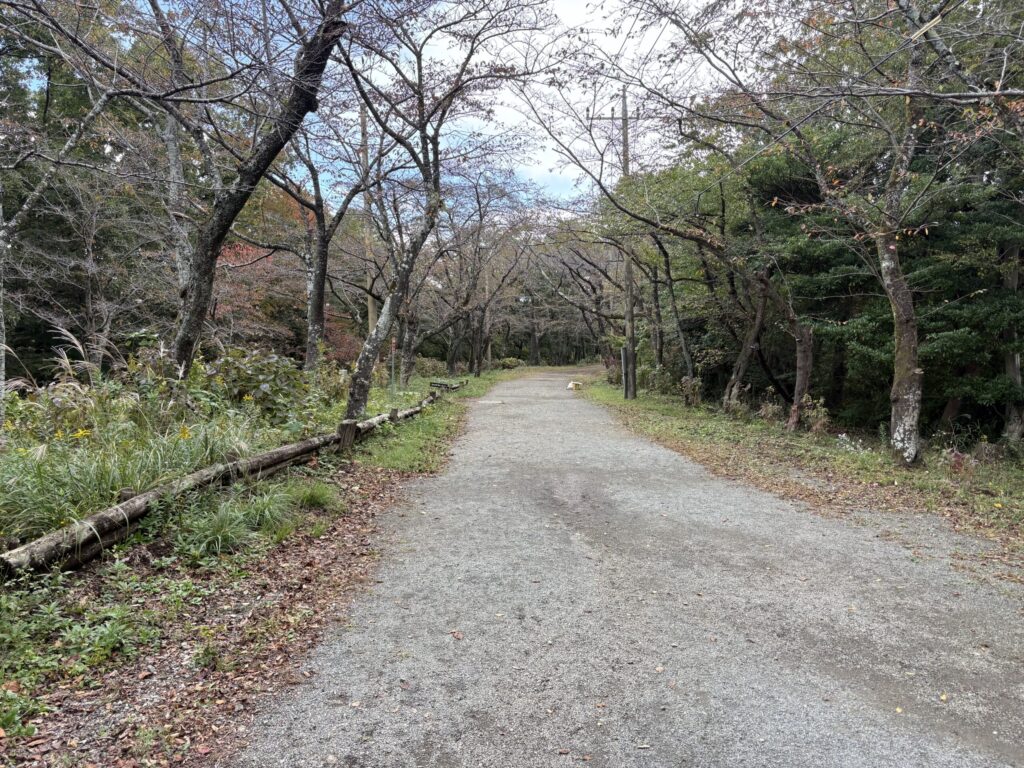 弘法山馬車道の様子
