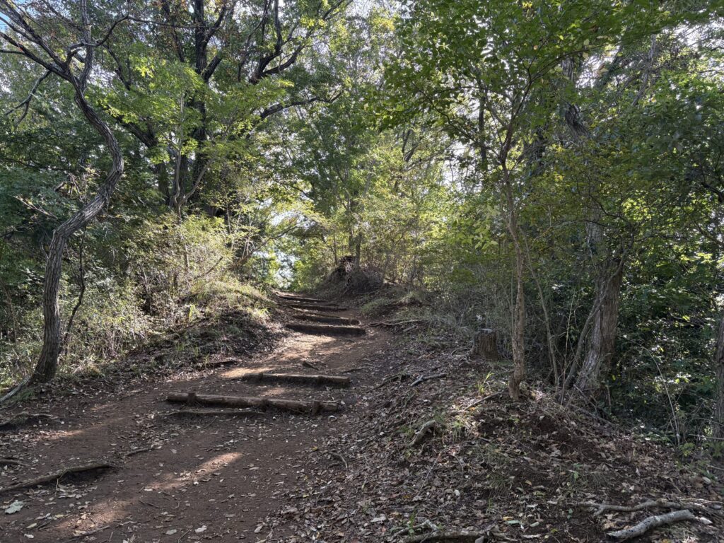 吾妻山までの登山道1