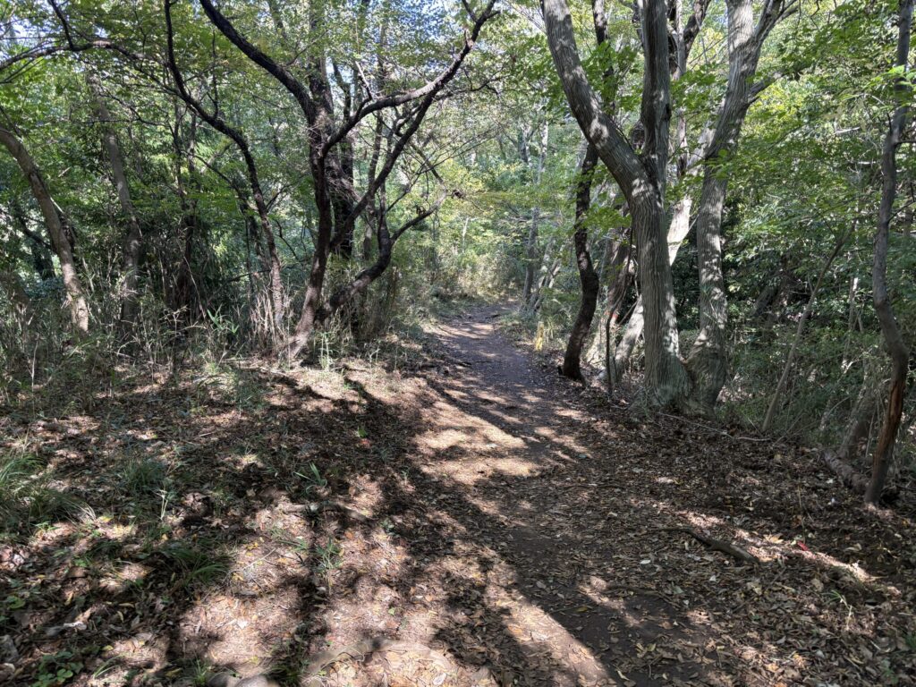 吾妻山までの登山道2