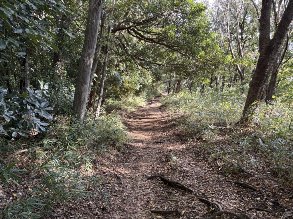 吾妻山から鶴巻温泉駅までの登山道1