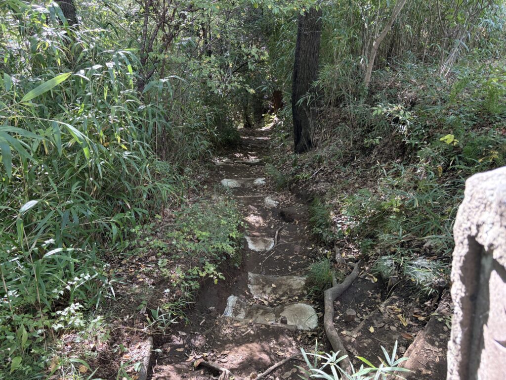 鶴巻温泉駅までの登山道2